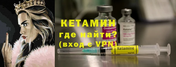 индика Новозыбков