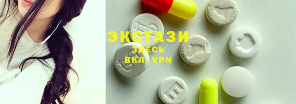 индика Новозыбков