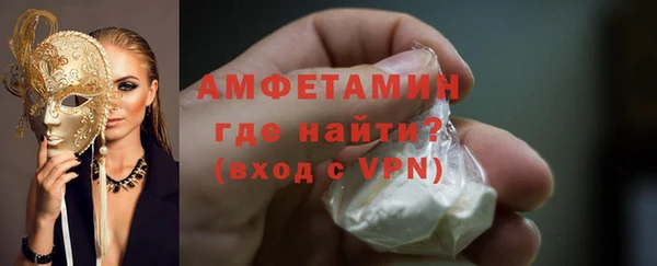 индика Новозыбков