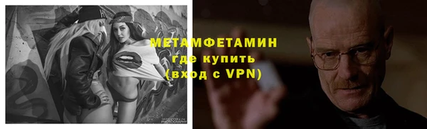 индика Новозыбков