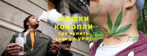 индика Новозыбков