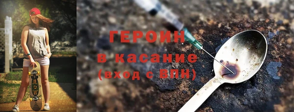 индика Новозыбков