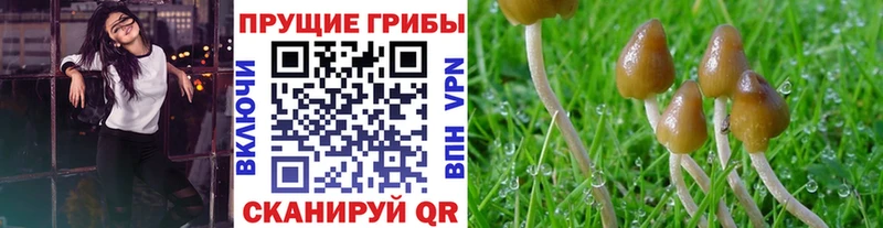 Галлюциногенные грибы прущие грибы  купить наркотик  KRAKEN tor  Мирный 